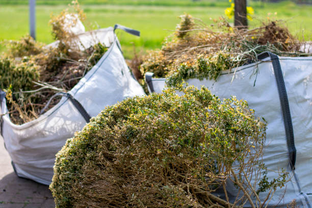 Reliable Omega, GA Junk Removal Solutions