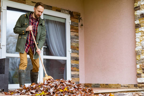 Debris Removal in Omega, GA